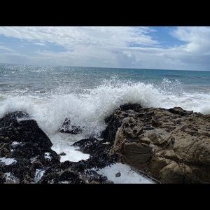 Meet your Posher, Brandi